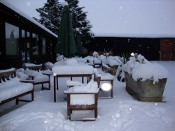 SNOW 2010!