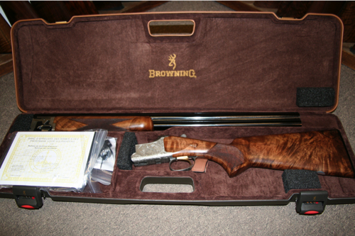 Large image from previous page