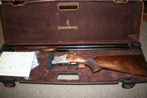 Large image from previous page