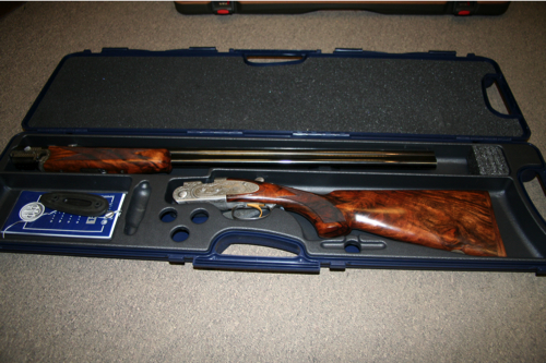 Large image from previous page