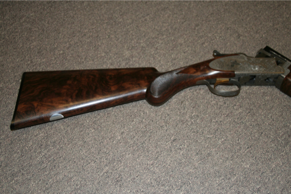 Large image from previous page