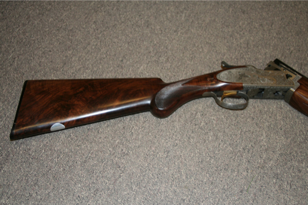 Large image from previous page