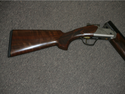 Large image from previous page