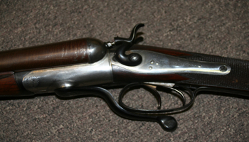 Large image from previous page